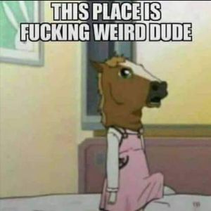 Meet your Posher, Chance